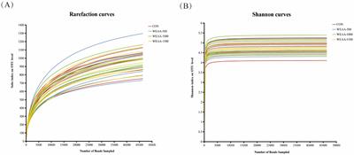 Effects of water extracts of Artemisia annua L. on rumen immune and antioxidative indexes, fermentation parameters and microbials diversity in lambs